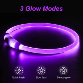Light Up Dog Collars, Single-Color USB Rechargeable Dlitk LED Dog Collar 1 Count, TPU Cuttable Size Glow Collar for Dogs, Dog Collar Light, Please Do Not Use Fast Charging (Purple)