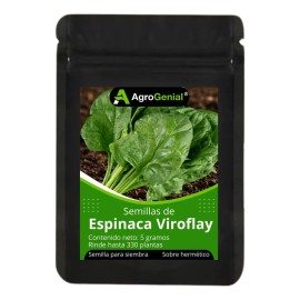 Semilla De Espinaca Viroflay Precoz Sobre De 330 Semillas