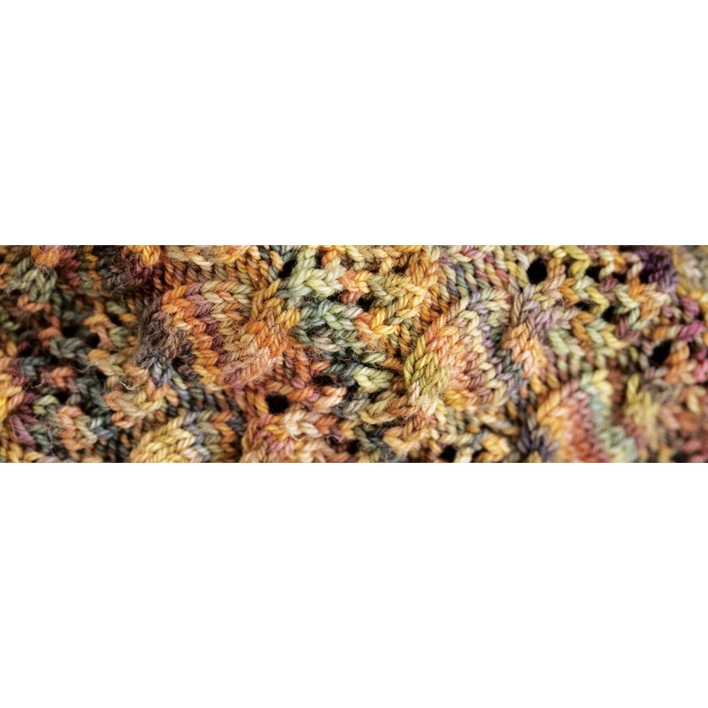 Malabrigo Sock 851 Turner