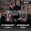 Beast Pharm | 30 Servings | Advanced Potent Joint Support