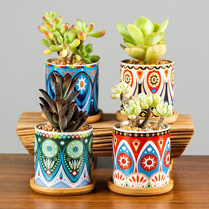 Kingrol 8 Pack Succulent Pots, Mini Ceramic Flower Planter Pot