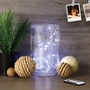 Feit Electric Fairy Light LED 10 Foot Red, Green, Blue