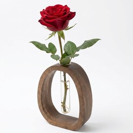Solid Wood Frame Glass Test Tube Vase Desk Hydroponic Plant