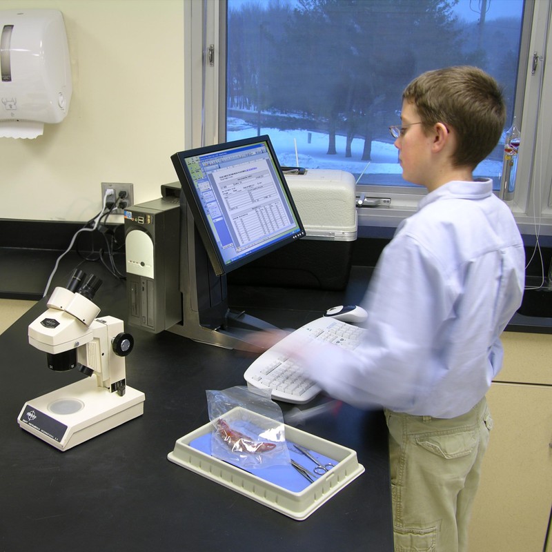 Ergotron – Neo-Flex All in One Stand for Desk, VESA