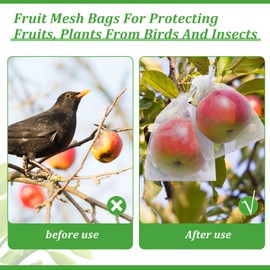Irenare Fruit Protection Netting Bags with Drawstring White Organza Fruit Cover Mesh Bags for Plant Vegetable Flower Trees(60 Pcs,6'' x 8'')