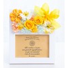 Preserved Flower Present, Rose, Photo Frame, Female Gift, L Edition,