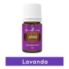 Young Living Aceite Esencial Para Difusor De Lavanda 5 Ml.