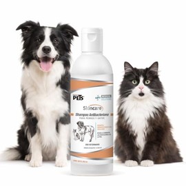 Fancy Pets Medical Solutions Skincare Shampoo para Perro y/o Gato con Problemas en la Piel por Microorganismos con 250 Mililítros
