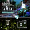 GIGALUMI 24 Pack Solar Path Lights Outdoor,Solar Lights Outdoor Waterproof,Stainless