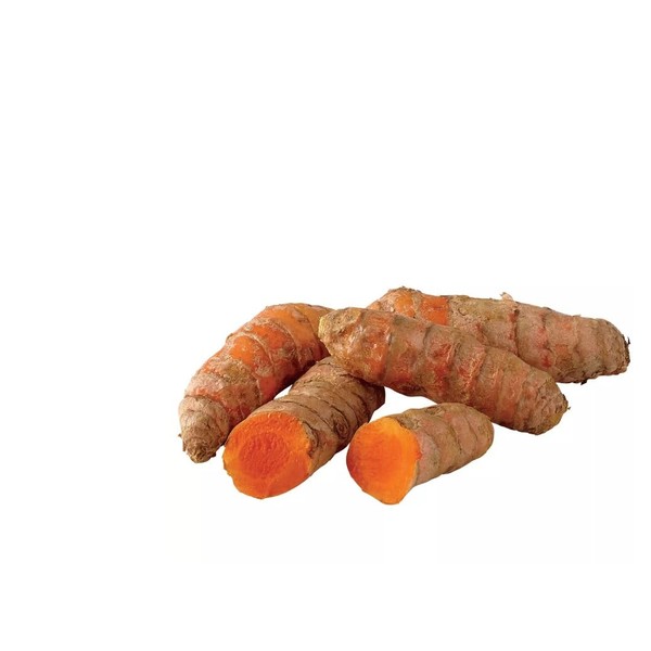 Fresh Turmeric Root - 6oz