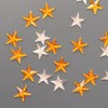 Hottracks Gold Silver Star Cubic 50p / 골드실버 별 큐빅50p