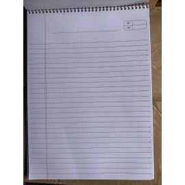 AMPAD/DIV. OF AMERCN PD&PPR 20008R Gold Fibre Retro Pad, Wide Rule, 8-1/2 X