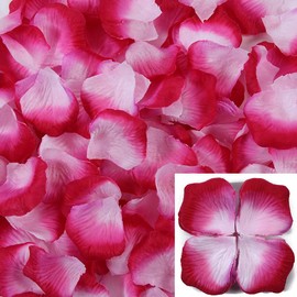Artificial Flower Petals, Pack of 2,500 Pieces, Purple Red on White Gradient, Beautiful, Romantic Decoration, Celebrations, Birthdays, Proposals, Weddings, Parties, 100th Celebrations, Popular,