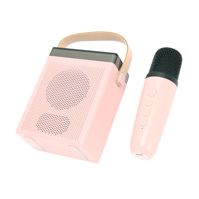 Karaoke Machine Set with RGB Light Rechargeable Bluetooth Speaker with
