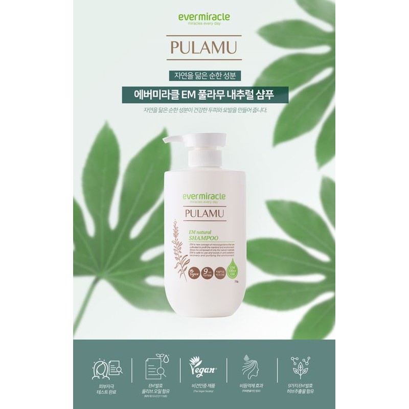 Evermiracle EM Pulamu Natural Shampoo (750g) 2pcs / 에버미라클 EM
