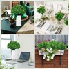 Daifunli 30 Bundles St. Patricks Day Shamrock Plants Decor Artificial