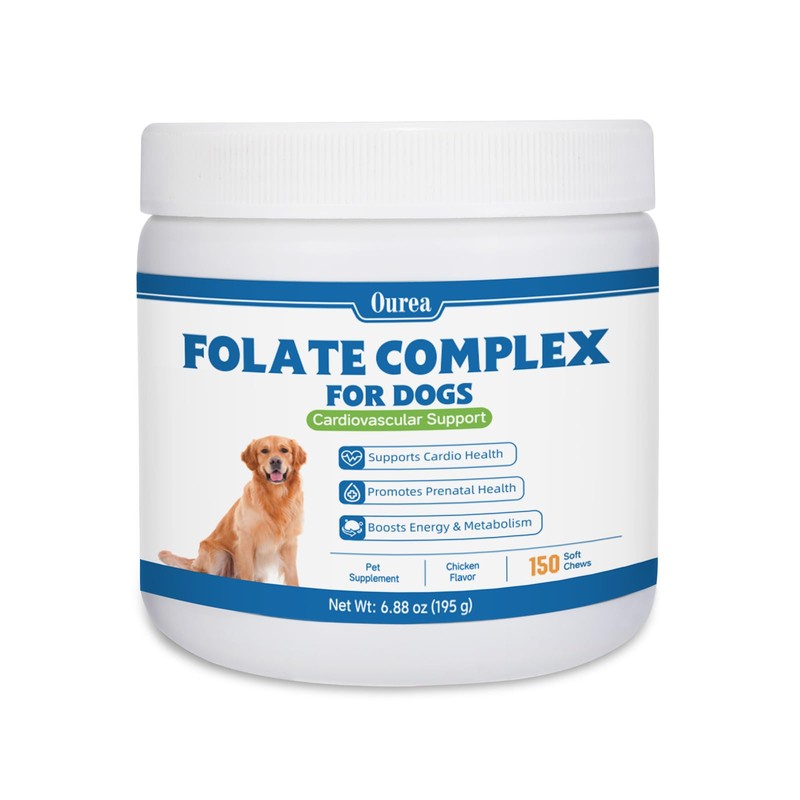 Folic Acid for Dogs - Dog Prenatal Vitamins with B12,