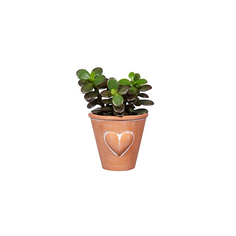 Sass & Belle Mini Terracotta Planter with Heart