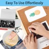 Pack of 500 Silver Thumbtacks for Office, School and DIY