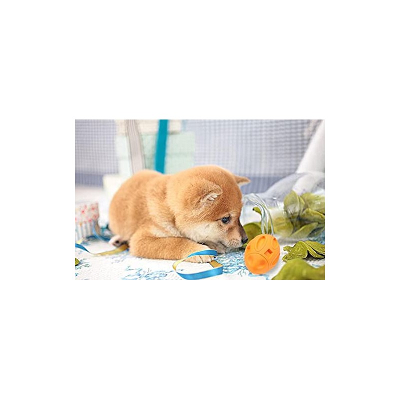 Voarge Palla for Dogs, Indistruttibiles, Interactive Toy for Medium Dogs,