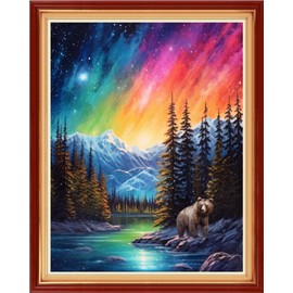 Dimxvean Stamped Cross Stitch Kits,Cross Stitch Kits for Adults Beginners,Embroidery Kits Full Range of Cross Stitch Stamped Kits Needlepoint Kits Cross Stitch Patterns- Aurora Borealis 16x20 inchs