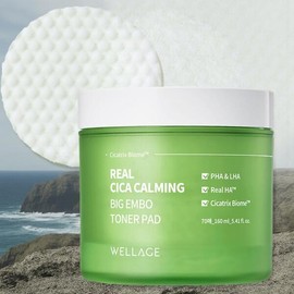 WELLAGE/Real/Cica/Big/Toner/Pad/160ml/1Pc