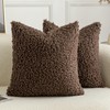 Joyouth Pack of 2 Curly Teddy Wool Faux Fur Throw