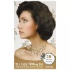 자연의 힘으로 빛나는 머릿결 헤어 염색 어두운 갈색 Shining Hair