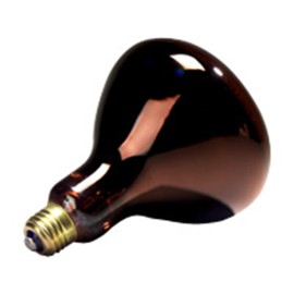 6 Qty. Halco 250W R40 Red 120V HEAT 5M PRIS R40RED250/10 250w 120v Incandescent Red Heat Prism Lamp Bulb