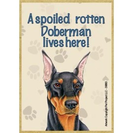 A spoiled rotten Doberman lives here Blk Tan Fridge Dog Magnet 2.5X3.5 NEW Gift