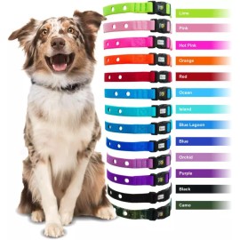 Extreme Dog Fence Dog Collar Replacement Strap - Bright Orange - Compatible with