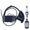 AUMEL Ignition Coil for Stihl BR600 BR550 BR500 BR700 Leaf