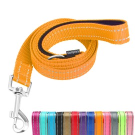 UsunyVora Reflective Nylon Dog Leash for Walking,Strong Dog Leash with Padded Handle for Medium and Large Dogs,4 FT,Orange