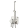 Brushed Nickel Handheld Warm Water Bidet Sprayer Mounted on The