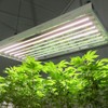 Active Grow T5 High Output 4FT LED Grow Light Bulb