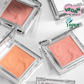 ABOUT_TONE Fluffy Wear Blusher 6 Colors - 10 Bubbly Orange Peach