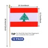 HSQCEZ 12Pcs Small Lebanon Flags on Wooden Stick Mini Lebanese