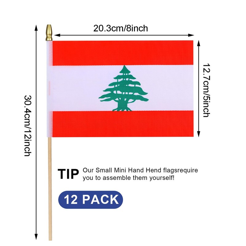 HSQCEZ 12Pcs Small Lebanon Flags on Wooden Stick Mini Lebanese