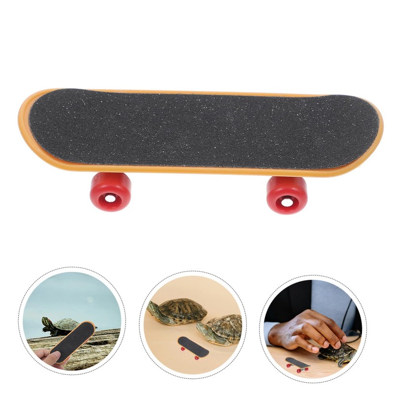 Sosoport Real Turtle Pet Toy Mini Skateboard Scooter for Bearded