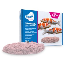 Magic Pond Rocks, Fish Tank Rocks for Enhancing Water Clarity with Your Regular Cleaning Routine, Fish Friendly Aquarium Rocks, All Natural Aquarium Decor, Large - 1500-3500 Gallons