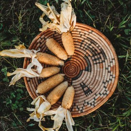 Faribo Hulless White Popcorn Seeds - 50 Seeds - Old Fashioned White Popcorn Variety, Non-GMO Heirloom Popcorn Seeds for Planting in The Home Garden, Thresh Seed Company