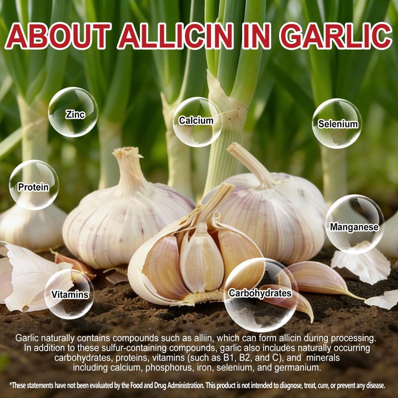 2 Years Aged Garlic Extract Capsules – 300 Count 7500mg