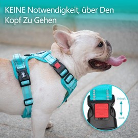 PoyPet No Pull Dog Harness, Reflective Dog Harness for Dogs without Choking, Soft Padded Pet Vest with Easy Control Handle (Mint Blue Matching Trim, M)