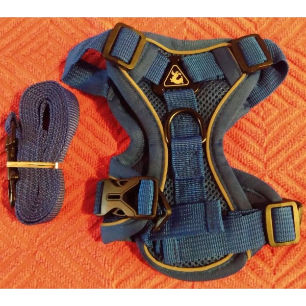 PetnBeyond Cat Walking Harness & Leash Pet Puppy Reflective Adjustable