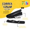 Fancy Pets Correa con Collar de Nylon para Perro con