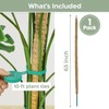 63'' Bendable Moss Pole Monstera Plant Support for Large Climbing