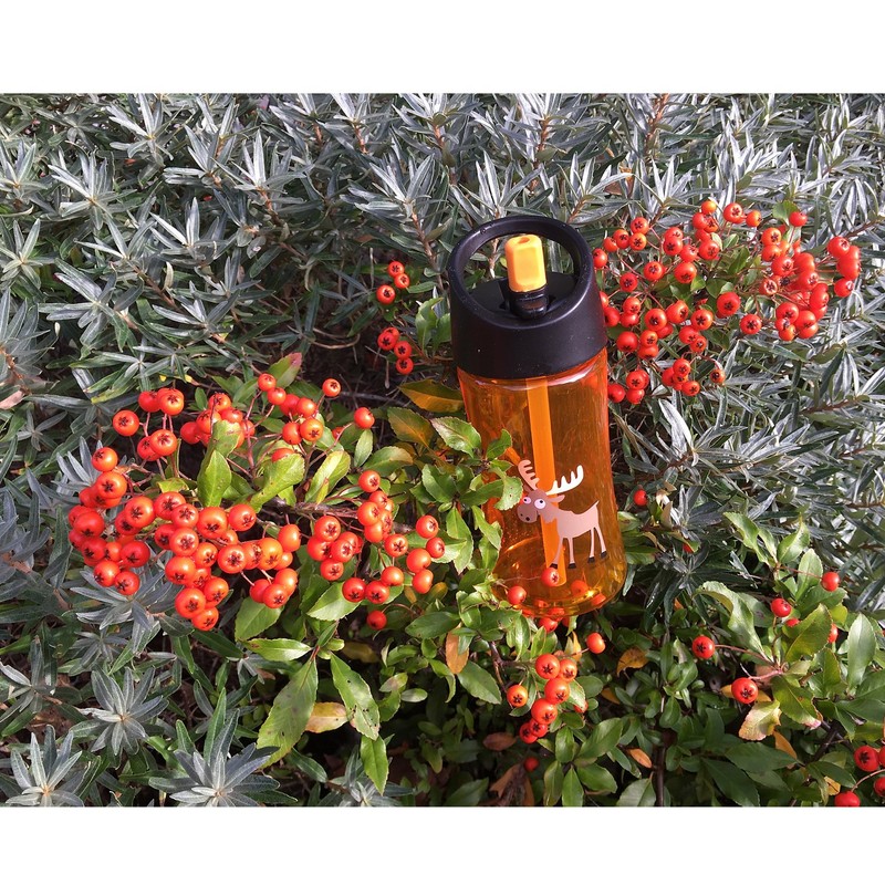 Carl Oscar Funny children's drinking bottle with handle, the bottle