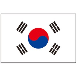 8 Large South Korea Flag Tattoos: Korean Party Favors