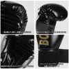 Boxing Gloves Mitts Set of 4 Punching Gloves for Martial