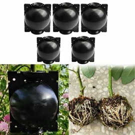 Unbranded 8 Medium Plant High Pressure Box Grafting Rooting Growing Device PropagationBal